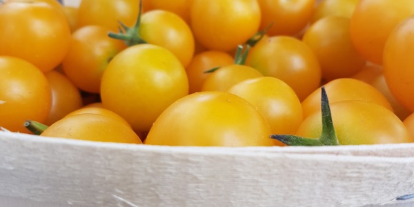 Des tomates, oui... mais cerises !