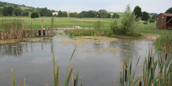 Rien que de l'eau