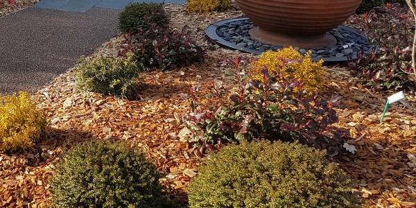 Envie d'économiser l'eau au jardin