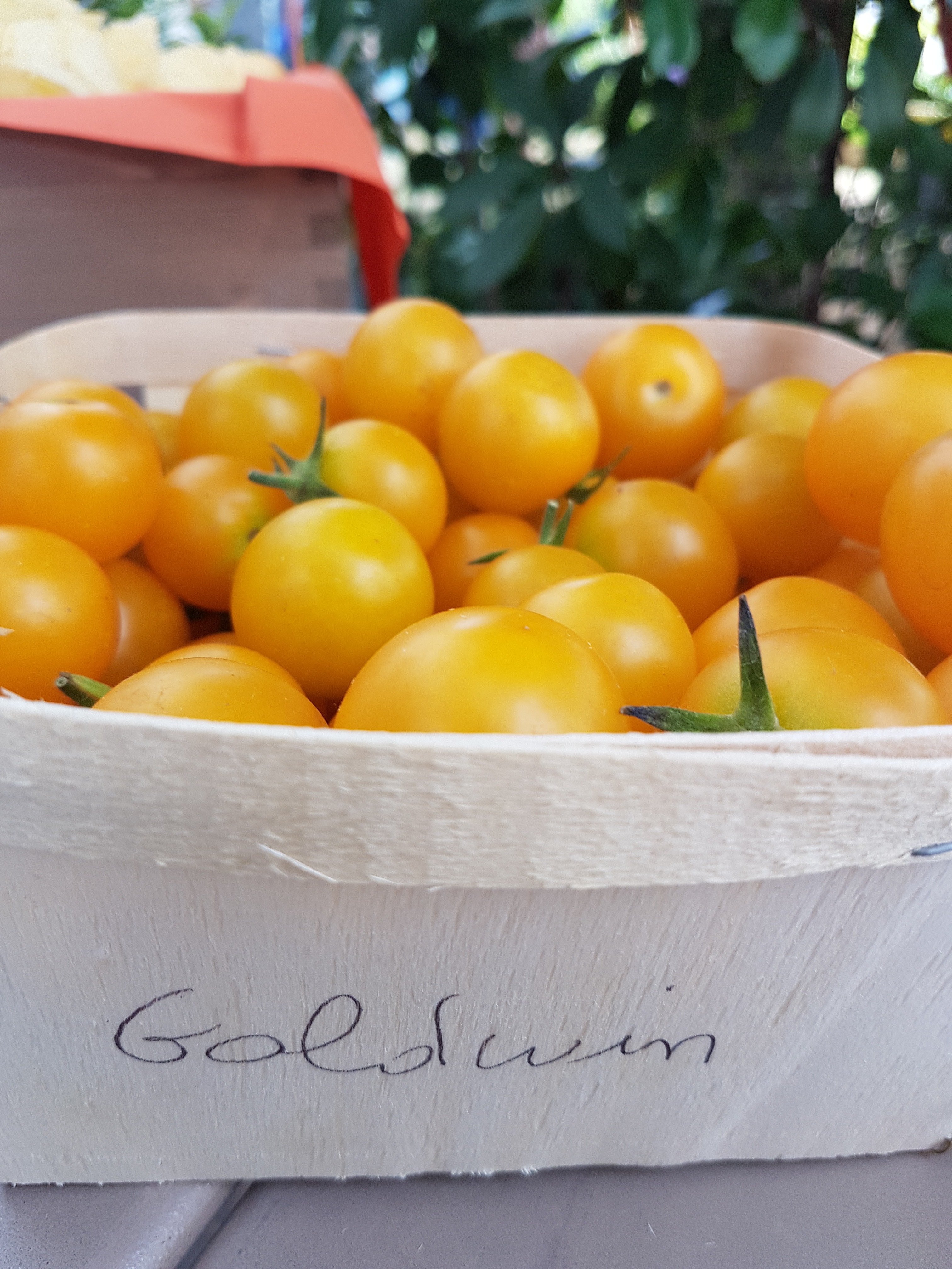 Des tomates, oui... mais cerises !