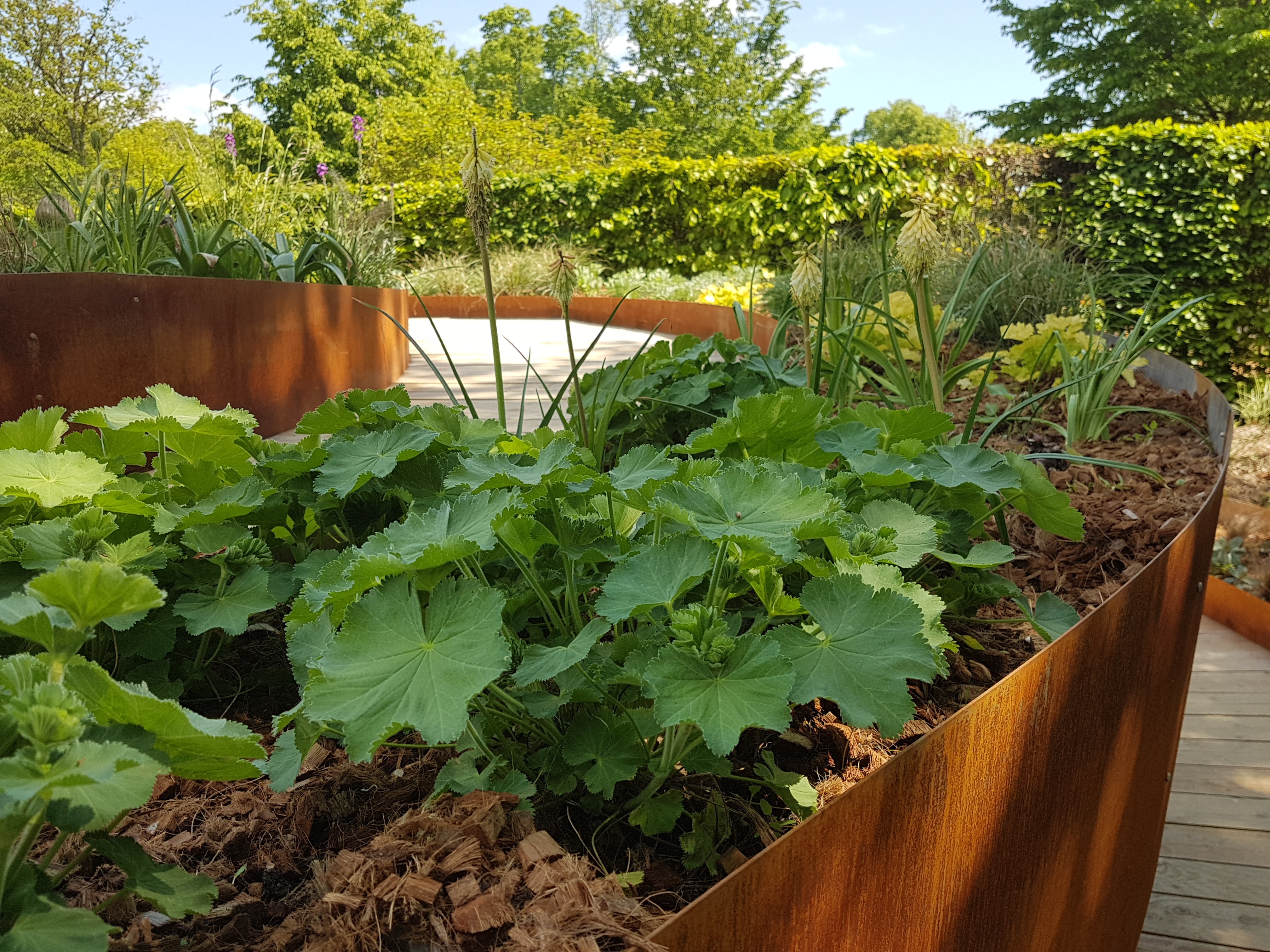 Un jardin sans entretien ?